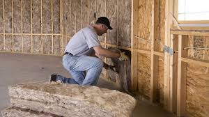 Best Spray Foam Insulation  in Halifax, VA