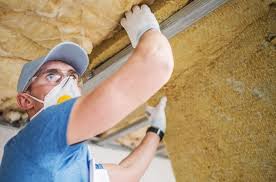 Best Insulation for Existing Homes  in Halifax, VA