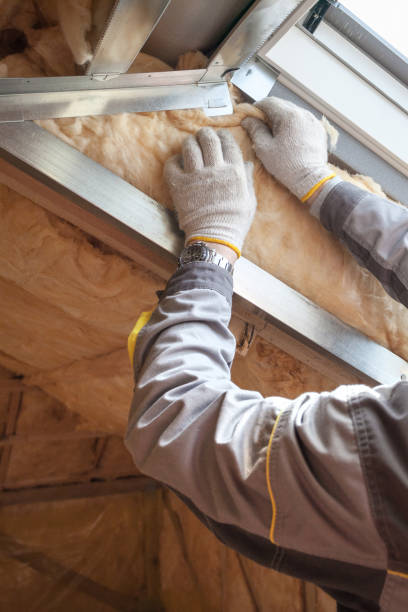 Best Garage Insulation  in Halifax, VA